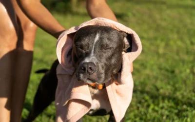 Golpe de calor: peligros y cómo prevenirlos