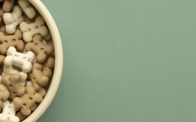 Cereales ¿Si o No?