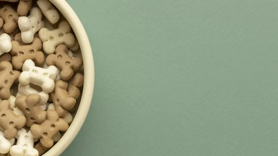 Cereales ¿Si o No?