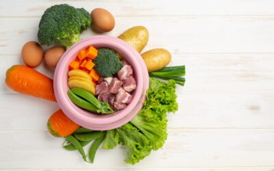 Conoce la dieta BARF
