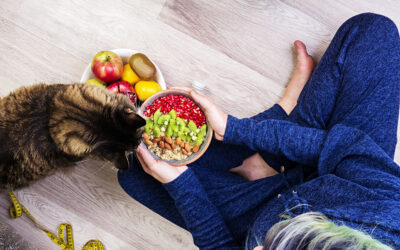 Nutrición y alimentación de mascotas