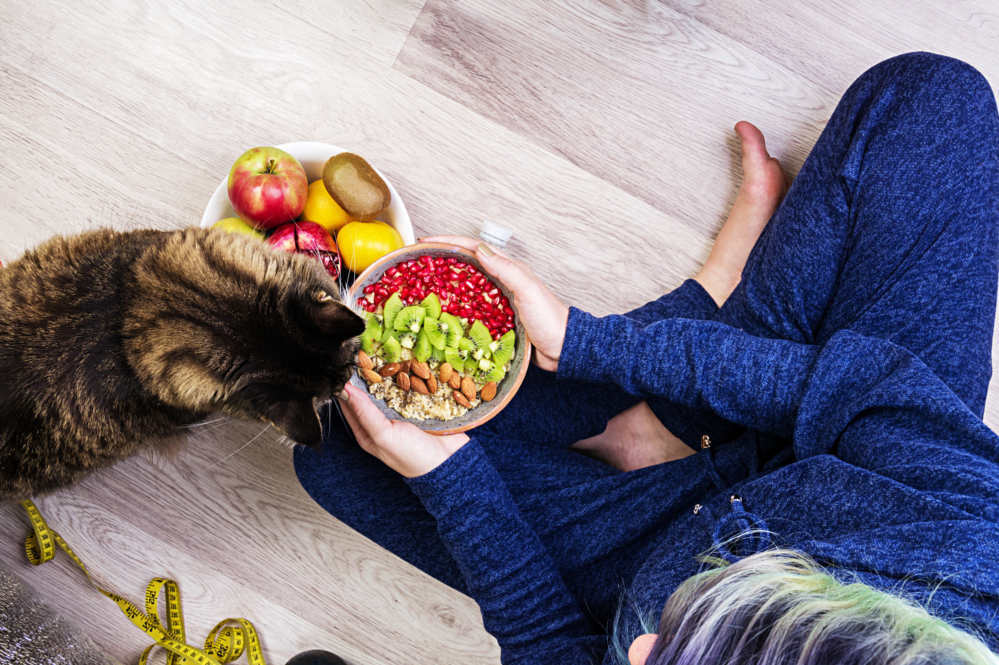dieta canina – blog