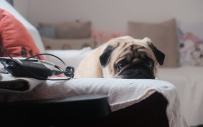 ¿Qué es la hipertensión?